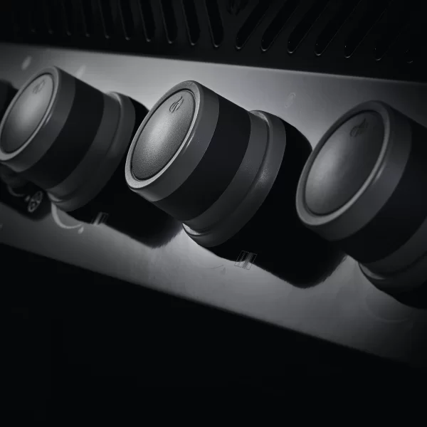 Rogue RB425RSBPK BARBECUE NAPOLEON A GAS - immagine 5