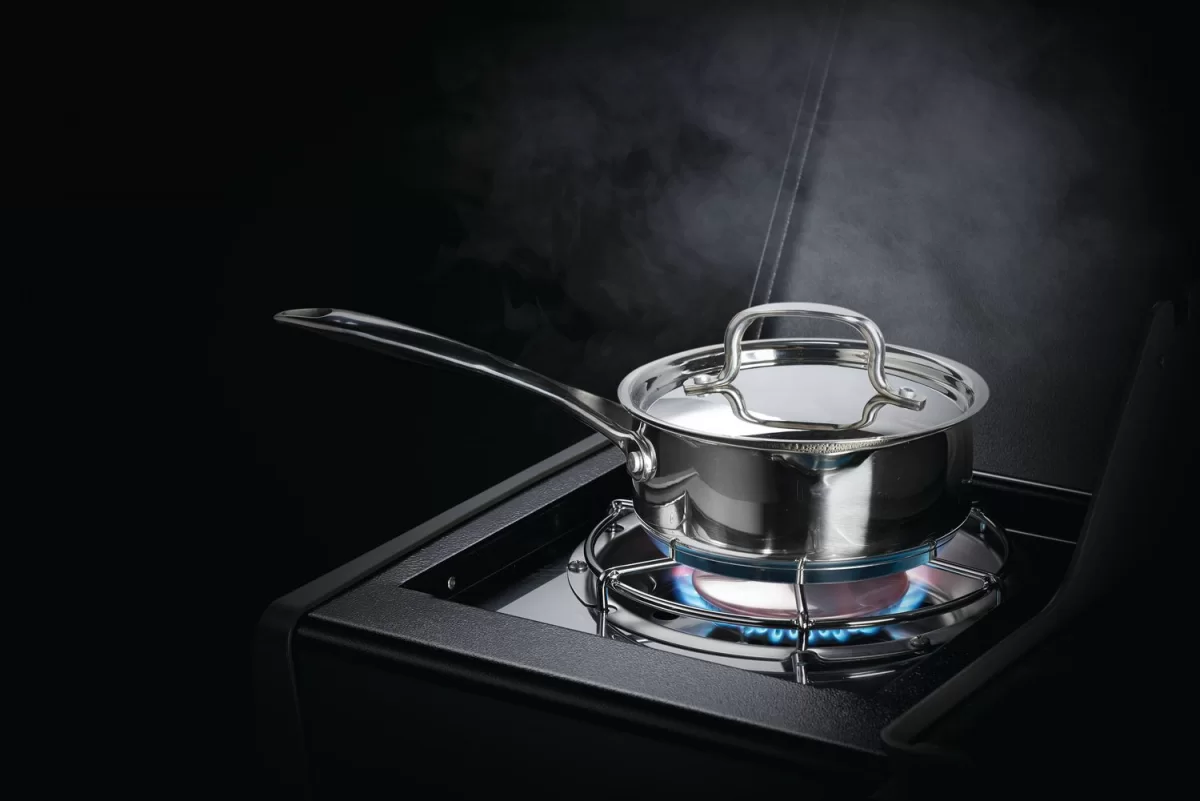 Rogue RB425RSBPK BARBECUE NAPOLEON A GAS - immagine 8