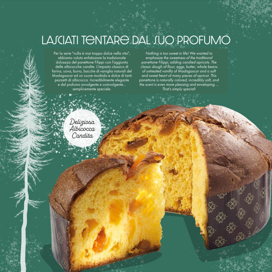 Panettone con albicocche - Image 2