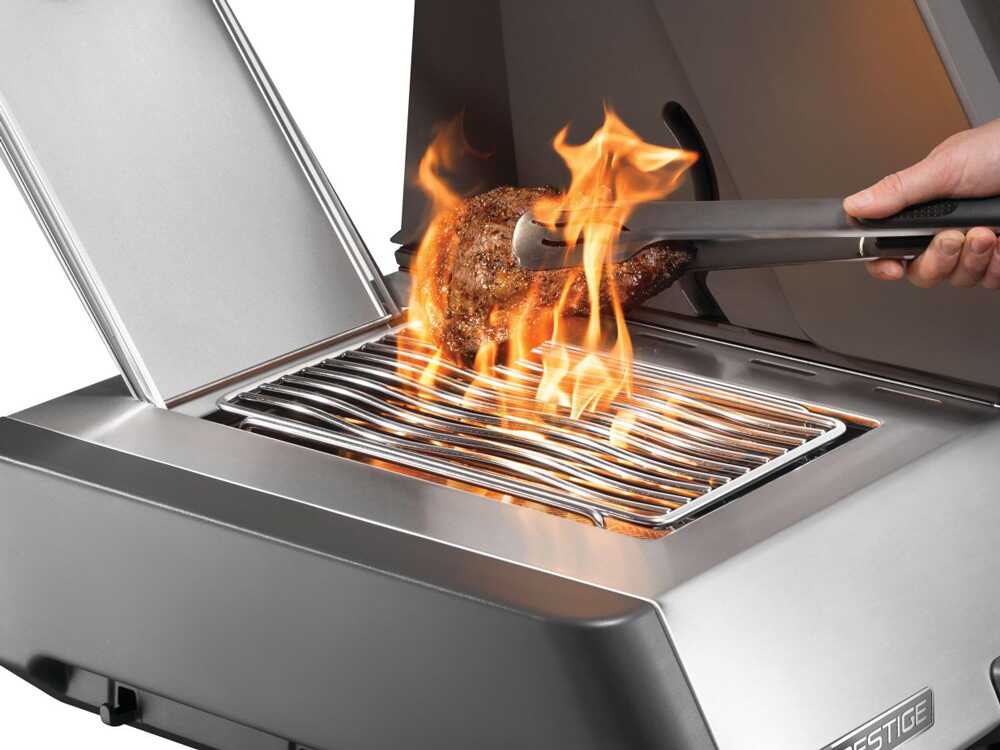 Barbecue a Gas Napoleon Prestige P665VXRSIB GPL - immagine 3